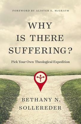 Picture of Why Is There Suffering?
