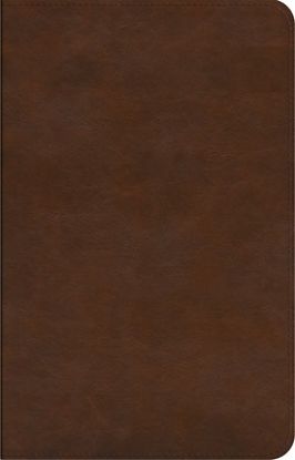 Picture of ESV Concise Study Bible(tm) (Trutone)