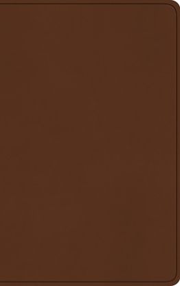 Picture of ESV Large Print Value Thinline Bible (Trutone, Camel)