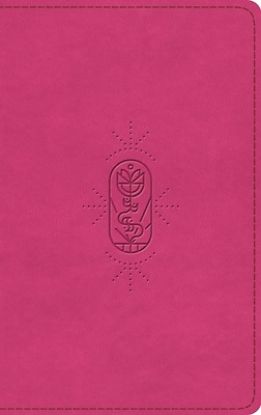 Picture of ESV Kid's Bible, Thinline (Trutone, Berry, the True Vine Design)