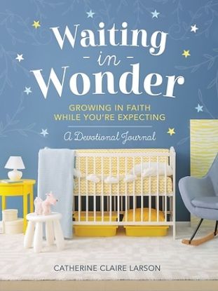 Picture of Waiting in Wonder