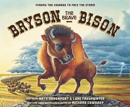 Picture of Bryson the Brave Bison