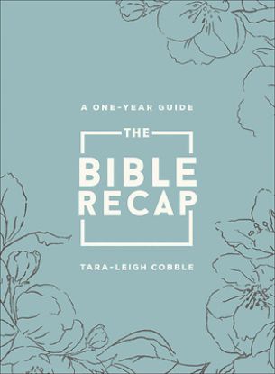 Picture of The Bible Recap