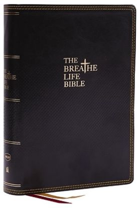 Picture of The Breathe Life Holy Bible