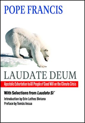 Picture of Laudate Deum
