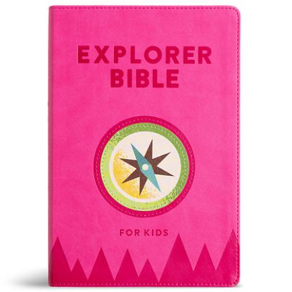 Picture of KJV Explorer Bible for Kids, Bubble Gum Leathertouch