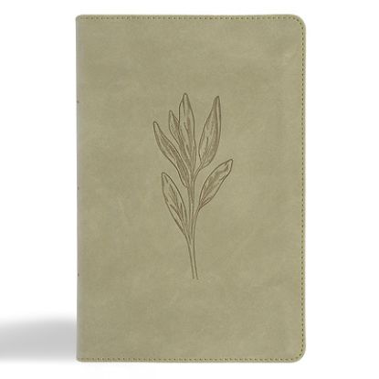 Picture of CSB Large Print Personal Size Reference Bible, Digital Study Edition, Sage Suedesoft Leathertouch, Indexed
