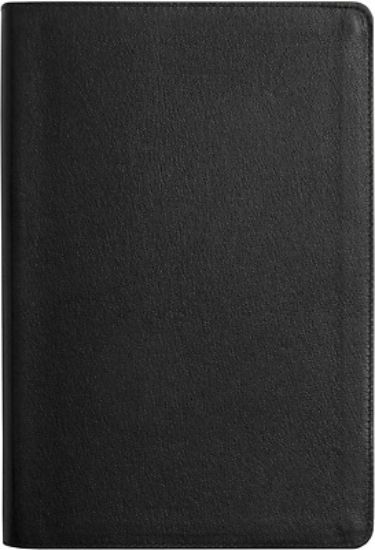 Picture of ESV Everyday Gospel Bible