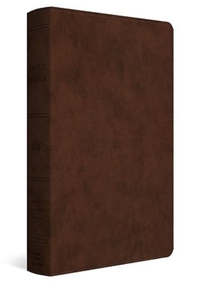 Picture of ESV Holy Bible