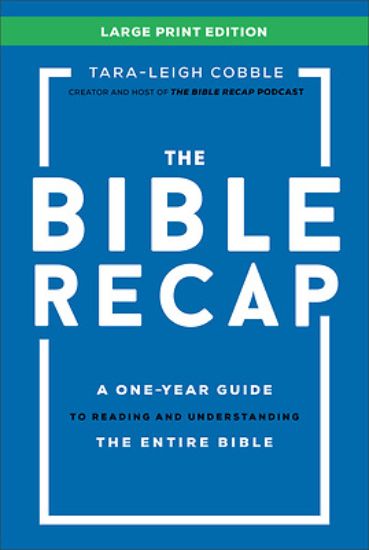 Picture of The Bible Recap Large Print Edition