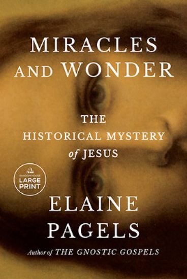 Picture of Miracles and Wonder