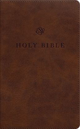 Picture of ESV Premium Church Bible, Large Print (Trutone, Brown)