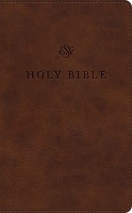 Picture of ESV Premium Church Bible, Large Print (Trutone, Brown)
