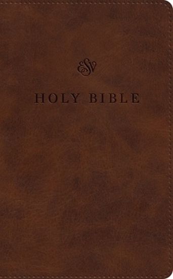 Picture of ESV Premium Church Bible, Large Print (Trutone, Brown)