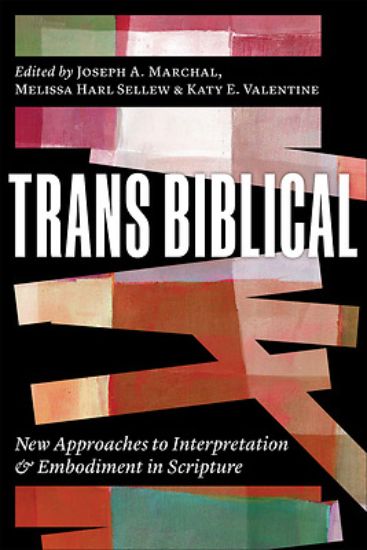 Picture of Trans Biblical