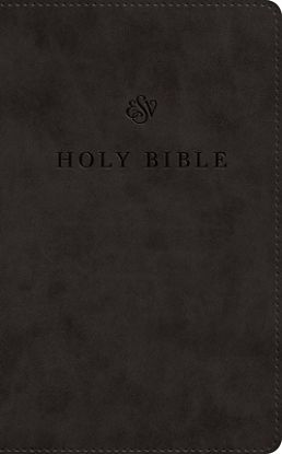 Picture of ESV Premium Church Bible, Large Print, Red Letter (Trutone, Black)