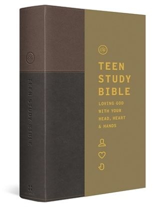 Picture of ESV Teen Study Bible (Trutone, Slate/Umber)