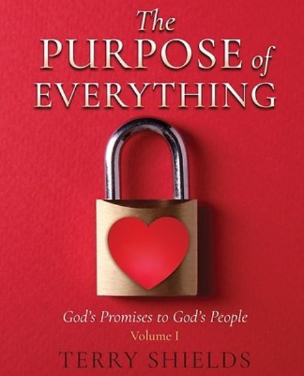 Picture of The Purpose of Everything