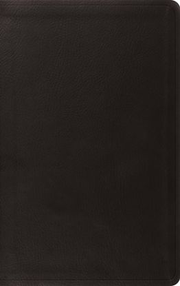 Picture of ESV Value Thinline Bible, Red Letter (Trutone, Black)
