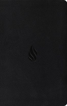 Picture of ESV Premium Gift Bible (Trutone, Midnight, Flame Design)