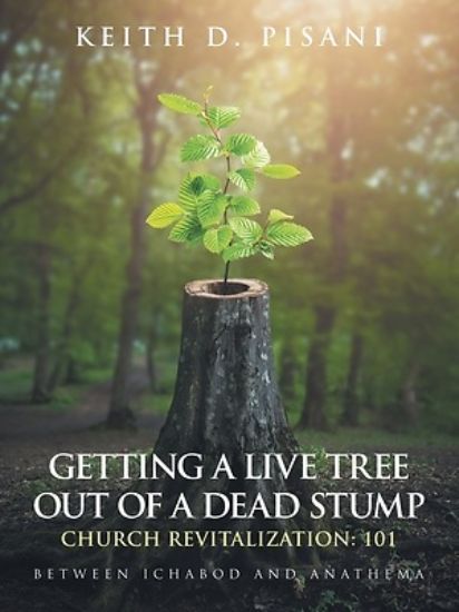 Picture of Getting a Live Tree Out of a Dead Stump Church Revitalization