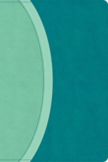 Picture of CSB Rainbow Study Bible, Teal Leathertouch (Limited Edition)