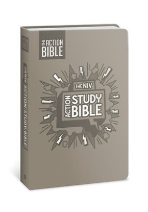 Picture of The NIV Action Study Bible, Leathersoft, Gray, Full Color