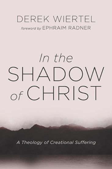 Picture of In the Shadow of Christ