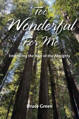Picture of Too Wonderful for Me