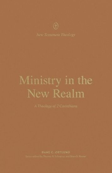 Picture of Ministry in the New Realm