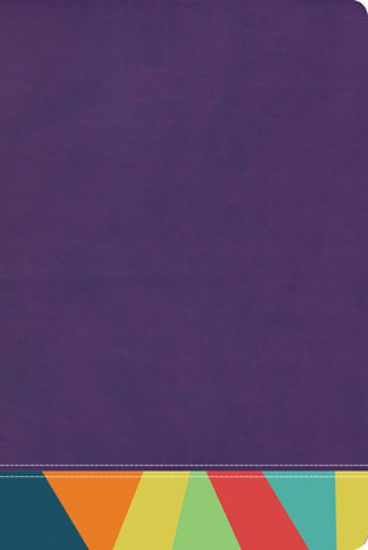 Picture of Rvr 1960 Biblia de Estudio Arco Iris, Morado/Multicolor