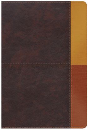 Picture of Rvr 1960 Biblia de Estudio Arcoiris, Gris Pizarra/Oliva Símil Piel Con Índice
