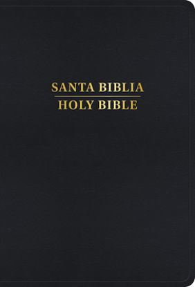 Picture of Rvr 1960/KJV Biblia Bilingüe Letra Grande, Negro Imitación Piel (2024 Ed.)