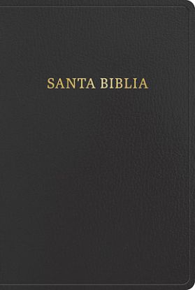 Picture of Rvr 1960 Biblia Letra Gigante, Negro, Imitación Piel Con Índice (2023 Ed.)