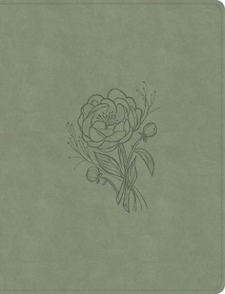 Picture of KJV Notetaking Bible, Large Print Edition, Sage Suedesoft Leathertouch