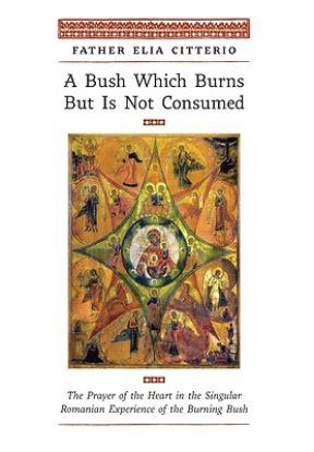 Picture of A Bush Which Burns But Is Not Consumed