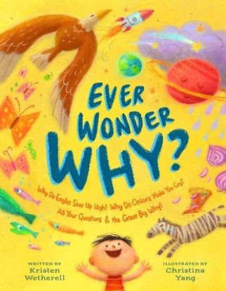 Picture of Ever Wonder Why?