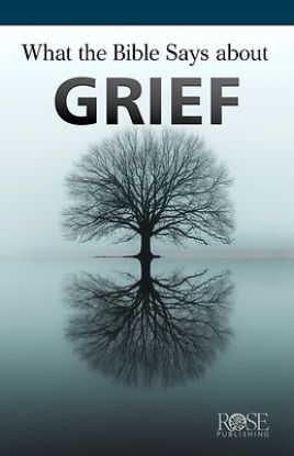 Picture of What the Bible Says about Grief