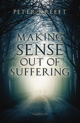 Picture of Making Sense Out of Suffering