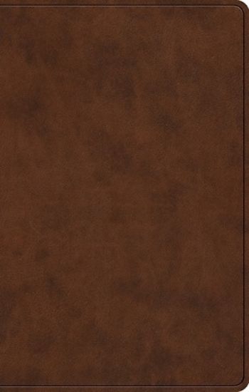 Picture of ESV Premium Gift Bible, Red Letter (Trutone, Brown)