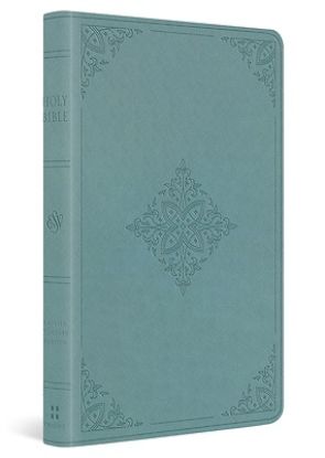 Picture of ESV Premium Gift Bible (Trutone, Paris Sky, Fleur-De-Lis Design)