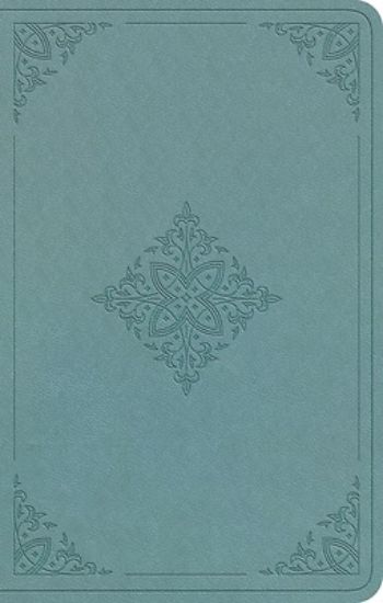 Picture of ESV Premium Gift Bible (Trutone, Paris Sky, Fleur-De-Lis Design)