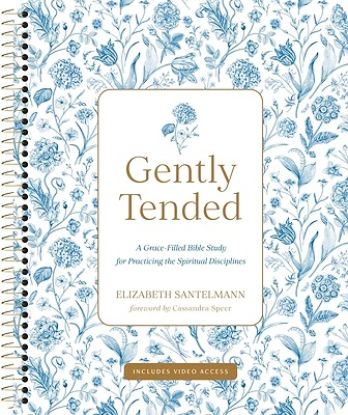 Picture of Gently Tended with Streaming Video Access