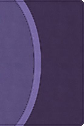 Picture of CSB Rainbow Study Bible, Purple Leathertouch (Limited Edition)