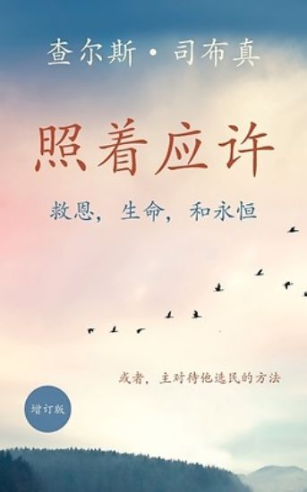 Picture of 照着应许