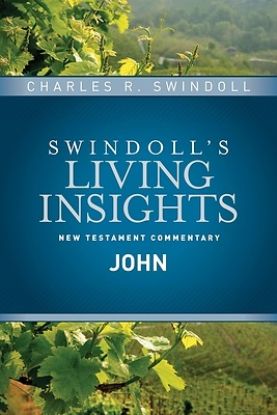 Picture of Insights on John