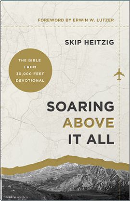 Picture of Soaring Above It All