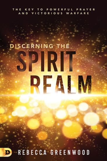 Picture of Discerning the Spirit Realm