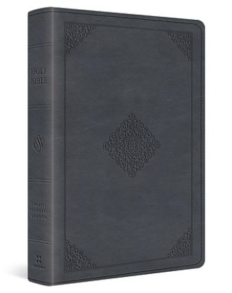 Picture of ESV Large Print Wide Margin Bible (Trutone, Slate Blue, Ornament Design)