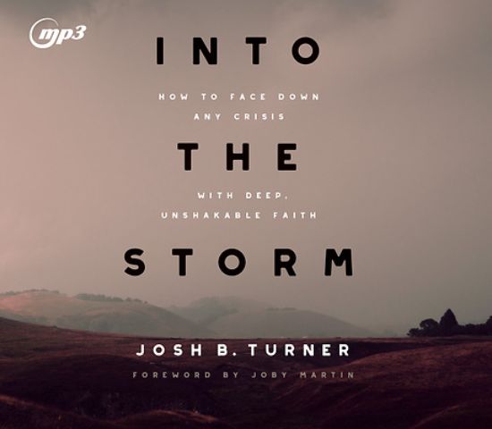 Picture of Into the Storm